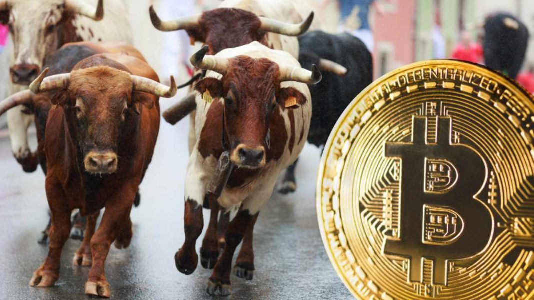 devere-group-predicts-a-bull-run-and-‘significant-bounce’-for-bitcoin-in-q4