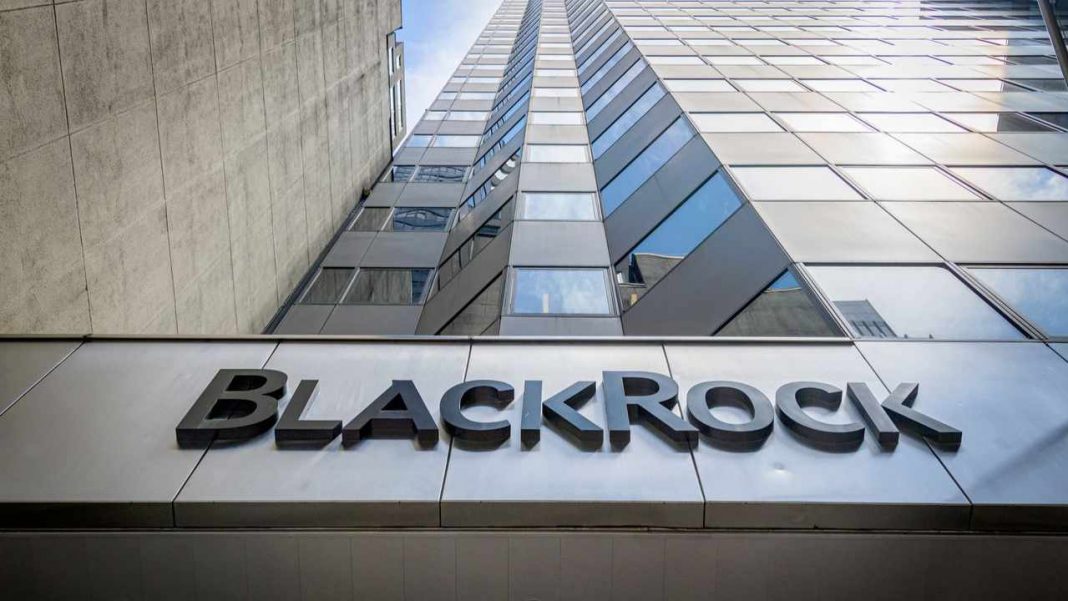 blackrock’s-cio:-bitcoin-and-crypto-are-durable-assets-—-prices-will-move-higher