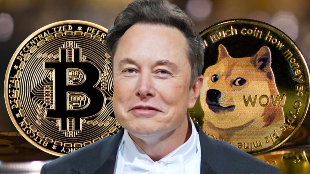 elon-musk:-bitcoin-will-make-it-—-dogecoin-to-the-moon